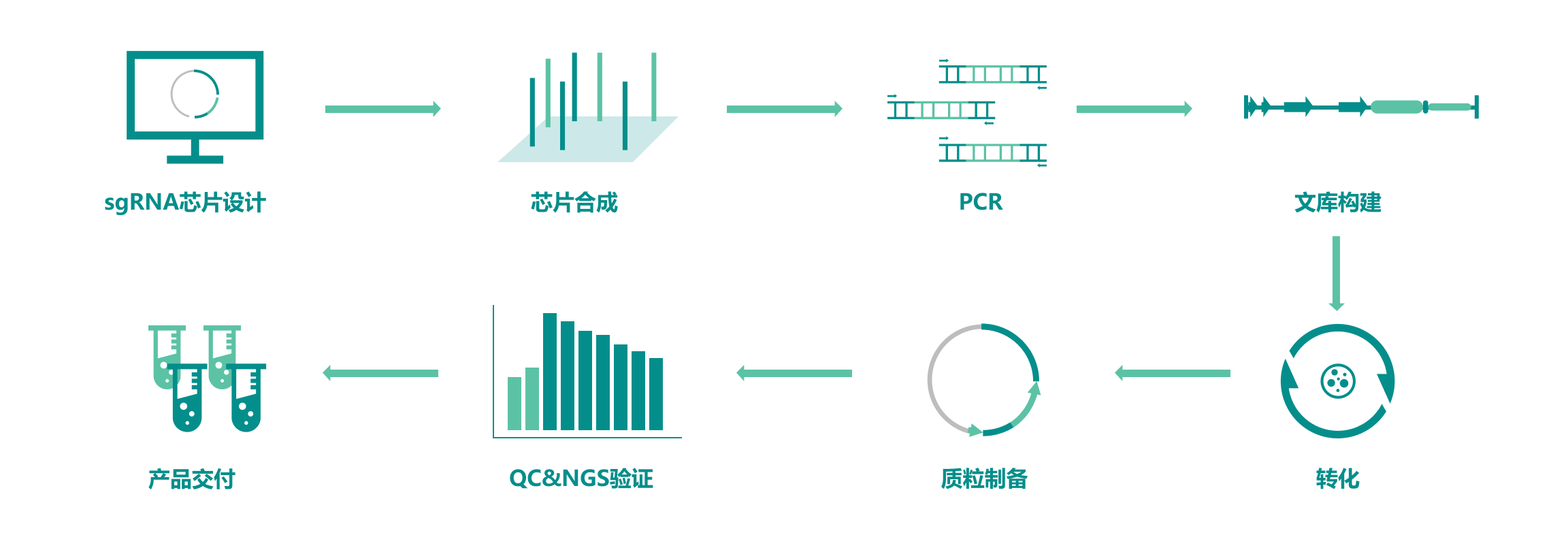 CRISPR基因編輯篩選服務流程